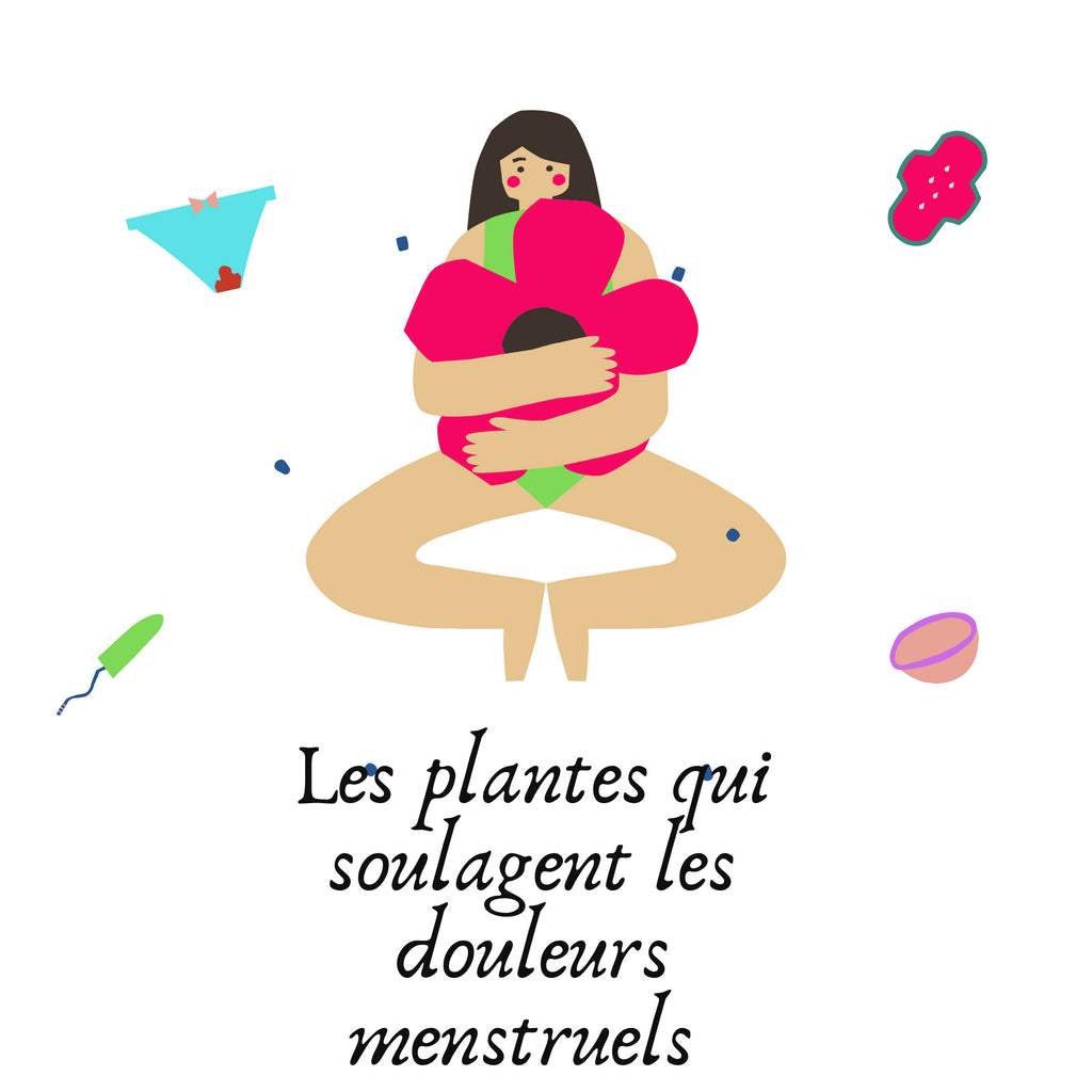 Les meilleurs plantes pour soulager les douleurs menstruelles